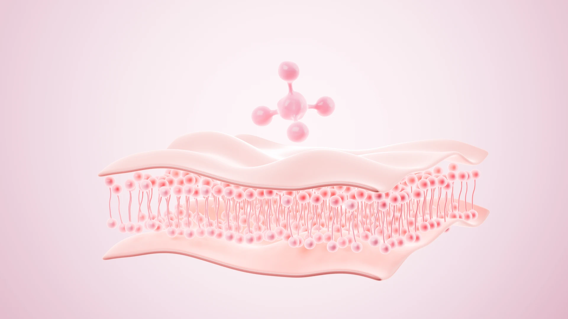 เทอร์มาจ FLX