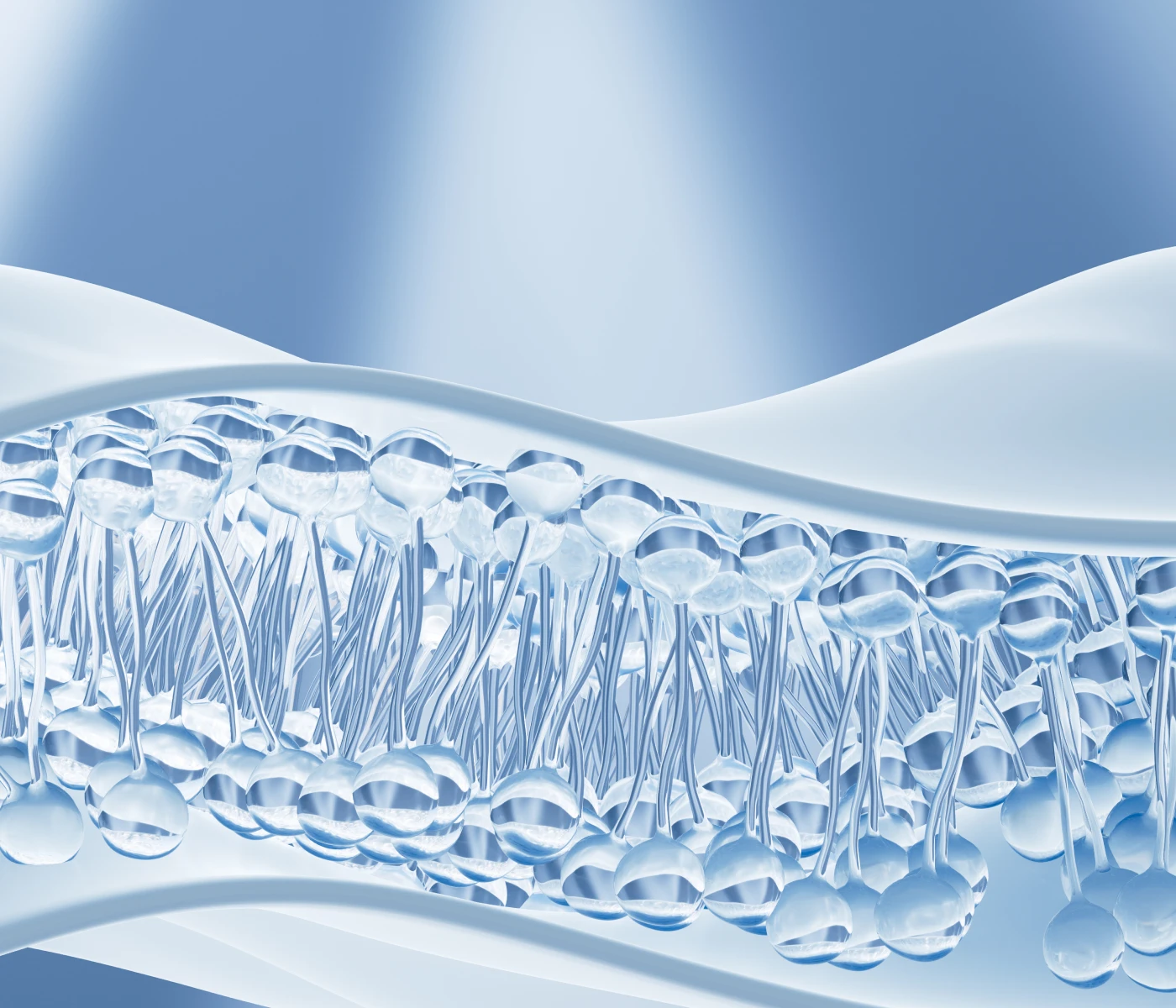 รักษารูปหน้าได้อย่างแม่นยำแม้ในบริเวณส่วนโค้งด้วยทิป 4 แบบ